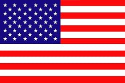 Untied States of America Small House Flag