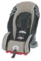 Graco Platinum Cargo Booster Car Seat, Powell