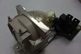 Lampedia Replacement Lamp for BENQ PB8250 / PB8260