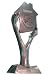 Award Image