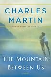 The Mountain Between Us: A Novel