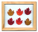 《プラント アートフレーム》Maple Leaf(メープルリーフ)