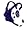 Purple/White/Purple