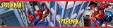 RoomMates WT1058BCS 5-Yard Spiderman Peel and Stick Border