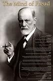 (24x36) Sigmund Freud (The Mind of Freud) Art Poster Print