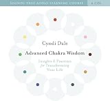 Advanced Chakra Wisdom image