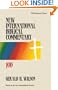 Job: New International Biblical Commentary, Ot