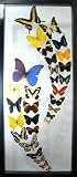 Double Wave Mounted Butterfly Wall Decor