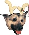 Dog Reindeer Antlers