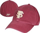 Florida State Seminoles Franchise Hat