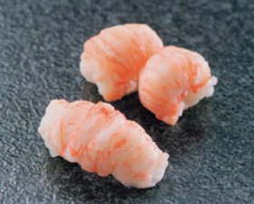 サブール)ベビーロブスター　500g