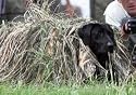 GHG Ground Force Hunting Dog Blind KillerWeed Kit