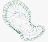 Dry Comfort Pad Night Max Green Absorbency For Nighttime Or Extended Protec - Case of 48