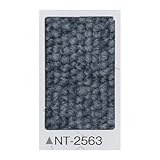 タイルカーペット　サンゲツ　ＮＴ－２５６３