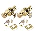 Lion Locks LIO0108 Tulip Keyed Entry Door Knob, Polished Brass, 2-Pack