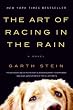 The Art of Racing in the Rain