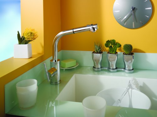 Danze D404558 Parma Single-Handle Kitchen Faucet with Pull Out Spout, Chrome