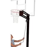 Spalding 310 Extension Arm Pole System