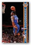 Amare Stoudemire - New York Knicks NBA 22"x34" Art Print Poster