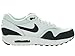 Nike Men's Air Max 1 Essential Running Shoe
