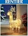 Rentier beleuchtet Weihnachtsbeleuchtung
