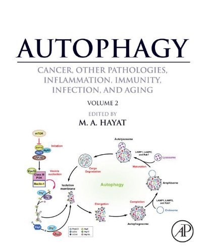 Autophagy: Cancer, Other Pathologies, Inflammation, Immunity, Infection, and Aging: Volume 2 - Role in General Diseases On Sale