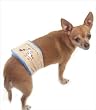 To Pee Or Not To Pee Belly Band for Dogs - XS (10"-13" Rear Girth)