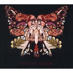 Year Long Disaster