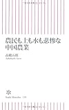 農民も土も水も悲惨な中国農業 (朝日新書)