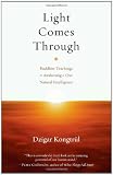 Light Comes Through: Buddhist Teachings on Awakening to Our Natural Intelligence