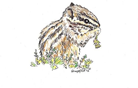 "Chipmunk" Watercolor Print