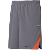Nike Florida Gators Ash Training Shorts