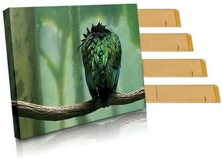 Breathing Color EasyWrappe 1.25" wide Bars, 14" Length (20 Pieces) by Breathing Color