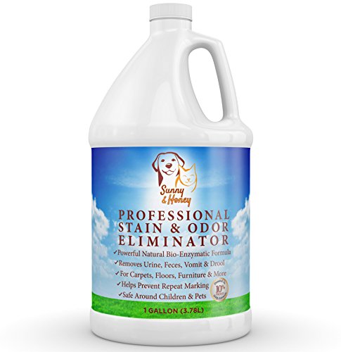 pet neutralizer carpet