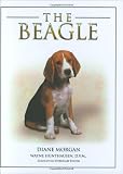 The Beagle