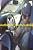 Jimmy Johnson Autographed Full Size Racing Helmet W/PROOF, Picture Of Jimmy Signing For Us, Nascar, Sprint Cup Series, Lowe's Chevrolet, Hendrick Motorsports, 6 Time Nascar Champion