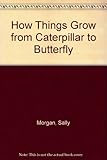 From caterpillar to butterfly