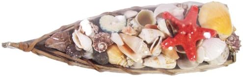 Mixed Seashells in 12 Inch Handcrafted Coconut Boat with Knobby Starfish Vase Filler Wedding Favor Gift