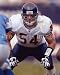 Brian Urlacher Chicago Bears 8x10 Photo