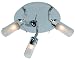 Kitchen & Housewares : CHROME CEILING SPOTLIGHT [SUITABLE FOR BATHROOMS & KITCHENS]
