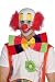 Clown Head Wig