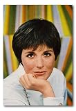 Julie Andrews Color 8x12 Photo or 12x18 Canvas Print