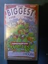 The Biggest ever video - The Turtles