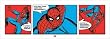 Pyramid International Spiderman - (Triptych) 95x33