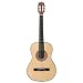 Fiesta Musical Instruments 38