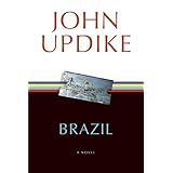 brazil a novel