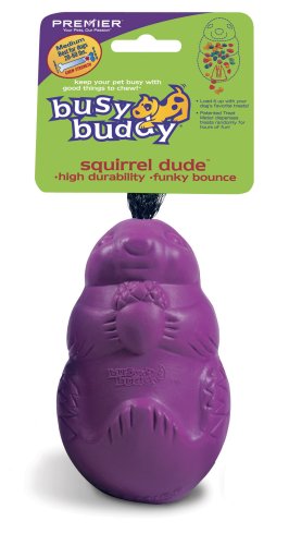 Premier Busy Buddy Squirrel Dude, Medium