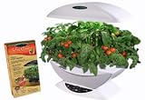 Kitchen & Housewares : AeroGarden Salsa Garden Seed Kit