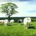diese alben machen gl�cklich