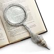 Conch Shell Magnifier